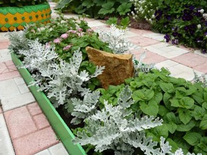 Paghahasik ng isang bulaklak na may buto