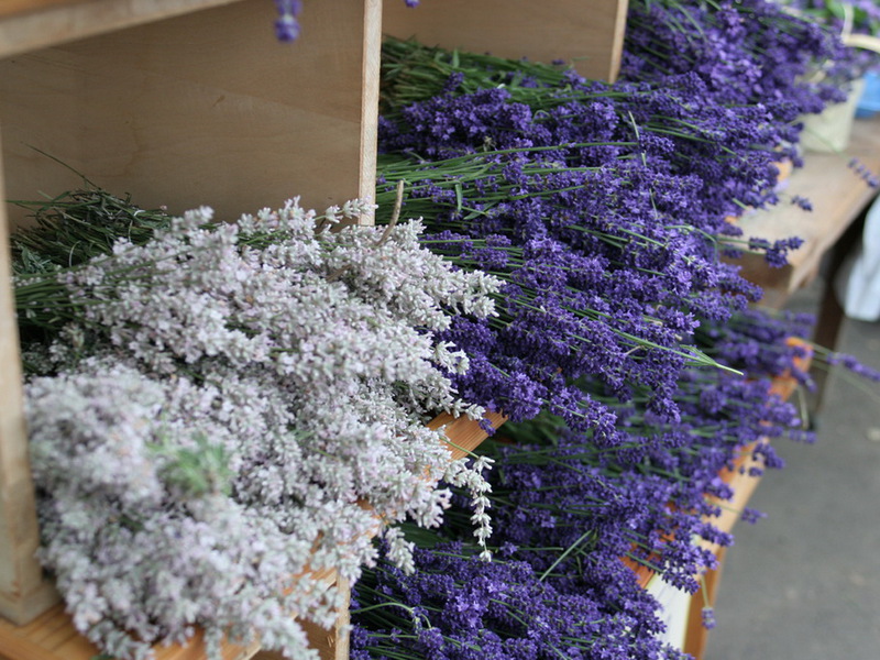 Mit Lavendel