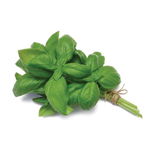 Oregano is also called common oregano.