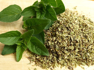 Das Oregano-Gewürz ist sehr beliebt und wird aus gewöhnlichem Oregano hergestellt.