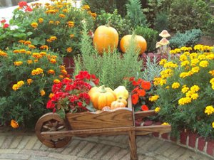 Fordeler med flerårige blomster