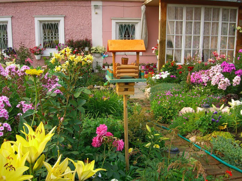 Vakker blomsterbed av stauder i landet