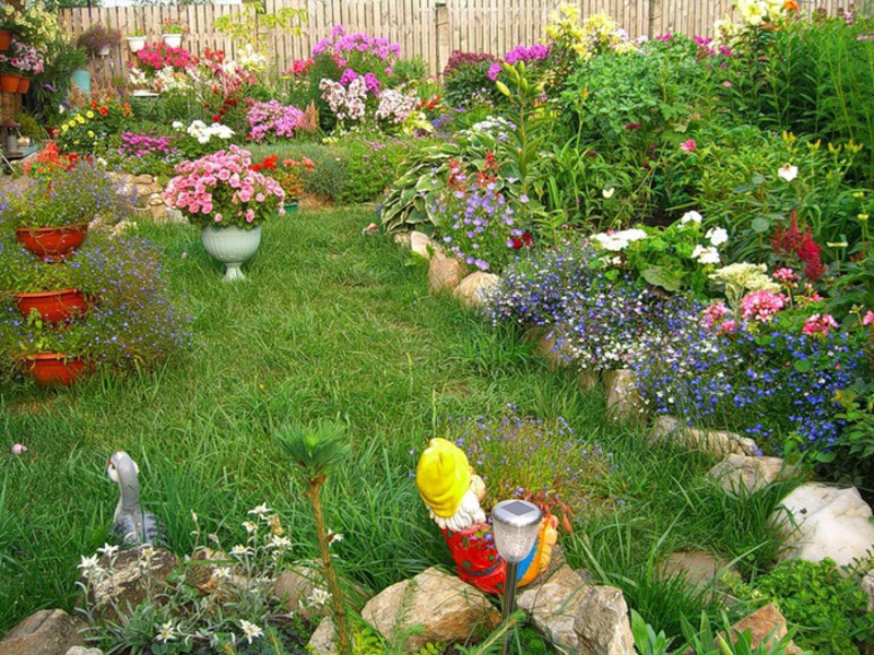 Parterre de fleurs à la campagne