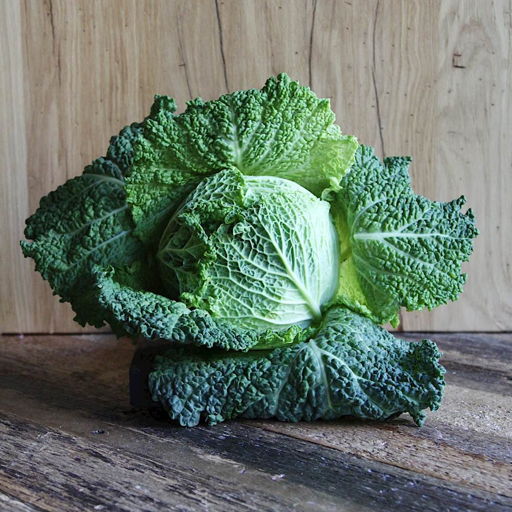 Savoy cabbage: pagtatanim, paglaki, ang pinakamahusay na mga pagkakaiba-iba