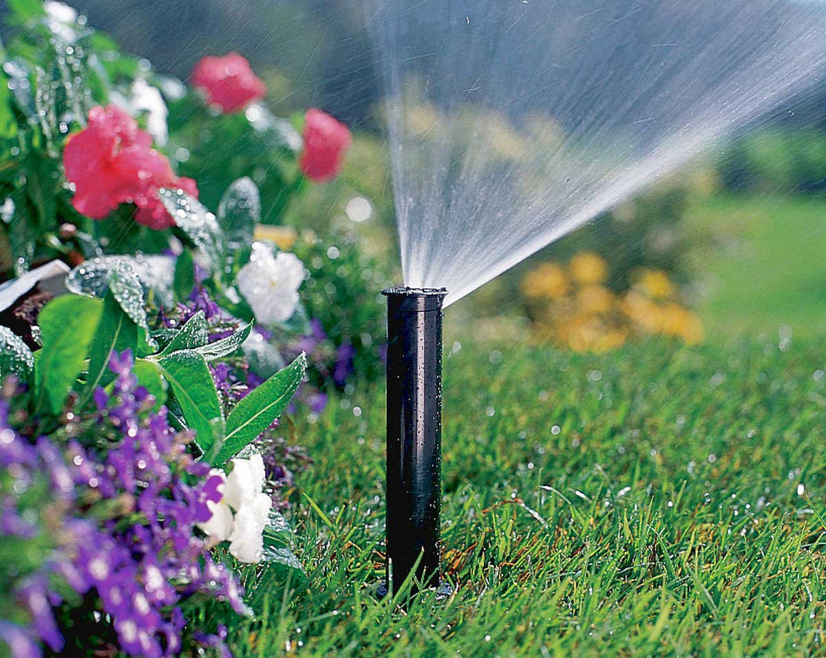 Wie man Autowatering in einem Sommerhaus für Pflanzen mit eigenen Händen macht