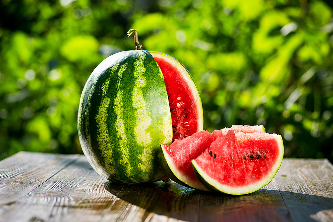 Wassermelone in der mittleren Spur: Wie man diese süße saftige Beere ohne Gewächshaus anbaut