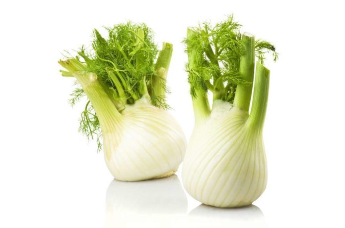 Fenchel