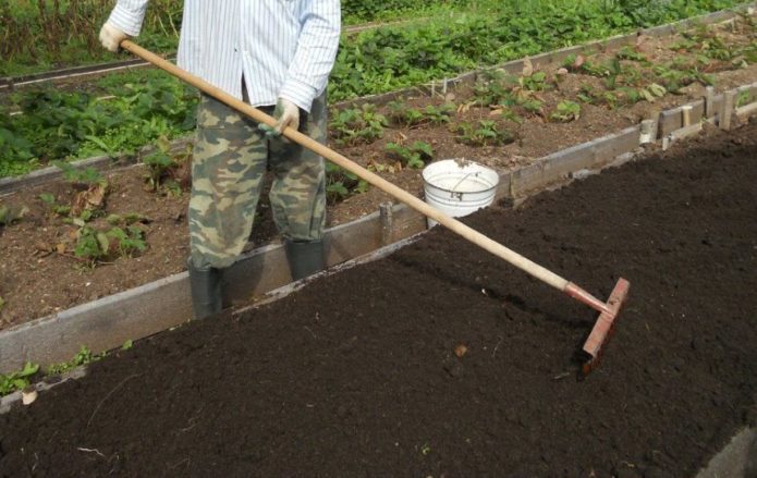 Garden bed