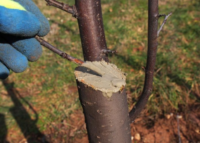 Holz schneiden