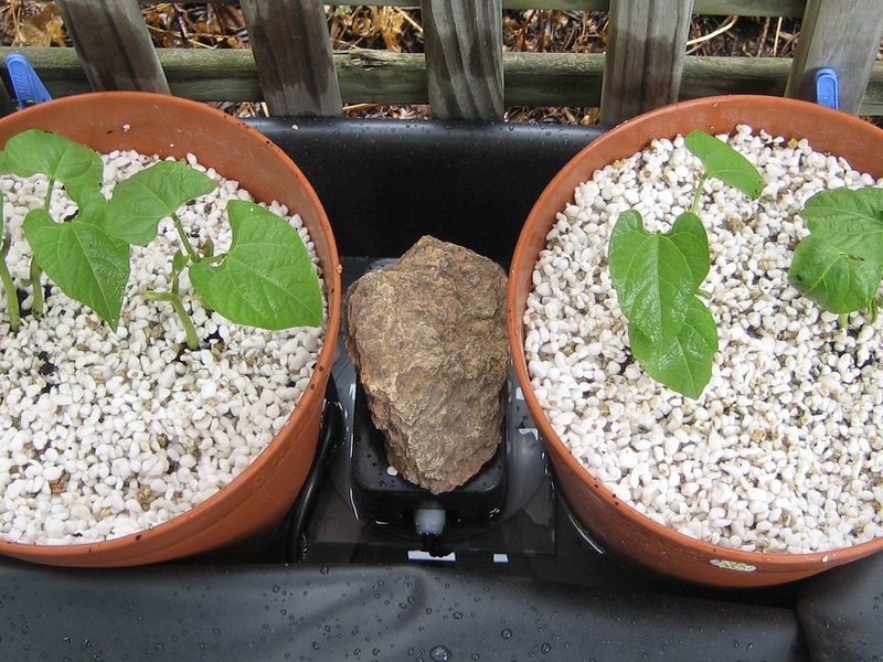 Wat is perliet, het gebruik van deze stof voor planten