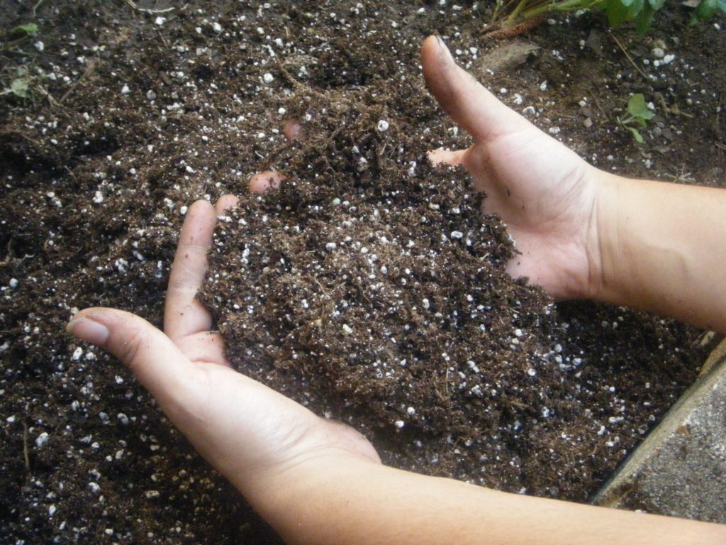 Plantera pottenjord och trädgårdsmästarens hand