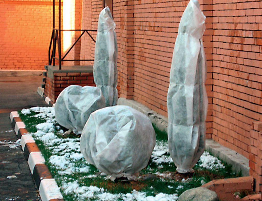 Buntes Rasen für den Winter vorbereiten