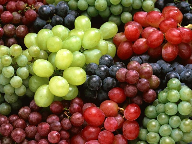 alimentando uvas