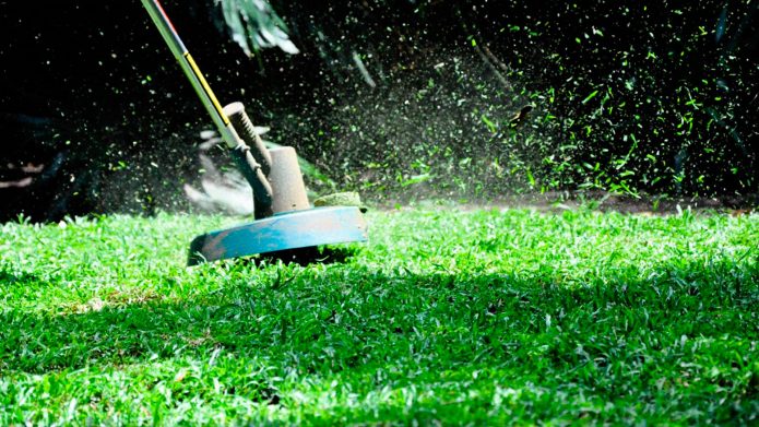 Couper l'herbe avec une tondeuse