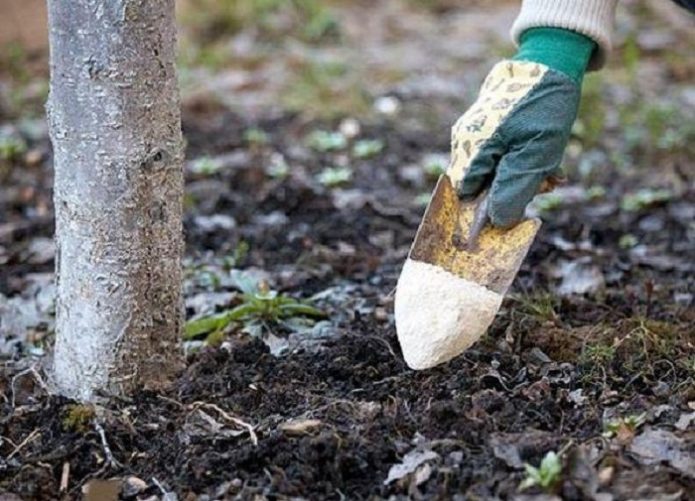 Fertilizante para madeira