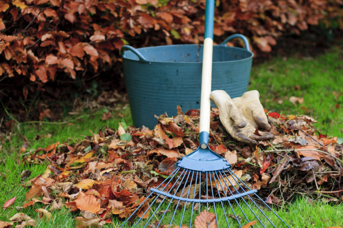 Lavoro autunnale in giardino