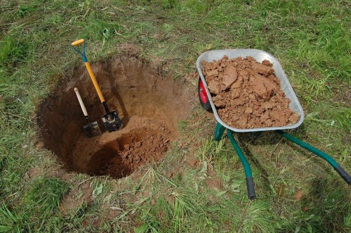 Fossa de plantació de cireres