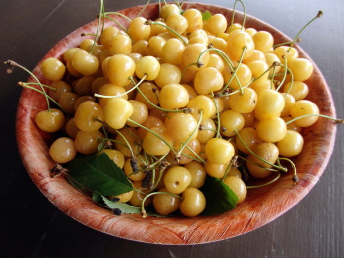 Frutas cereja Chetmashnaya em uma tigela