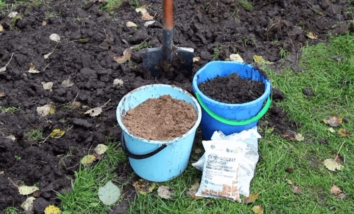 Dug earth and fertilizers