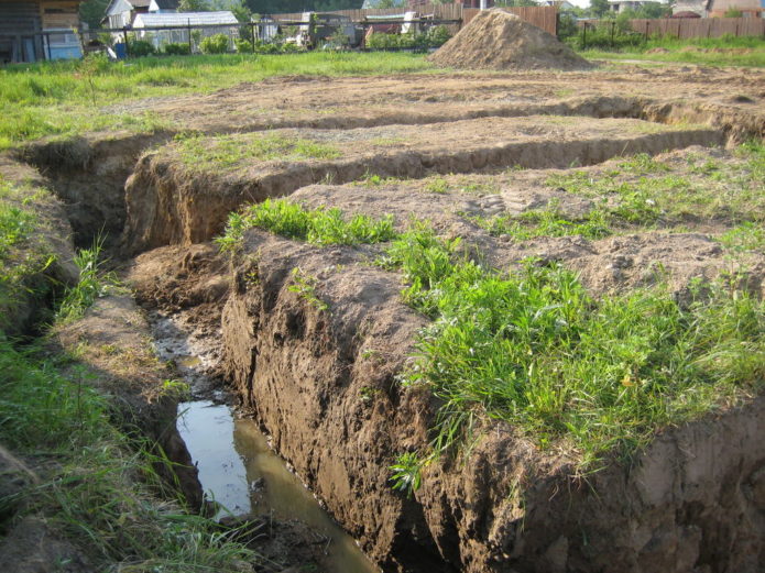 Mataas na antas ng tubig sa lupa sa site