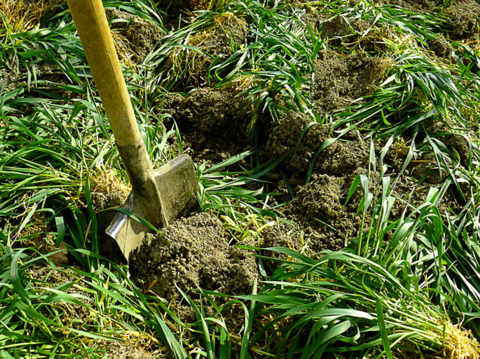 Land graven met groenbemesters