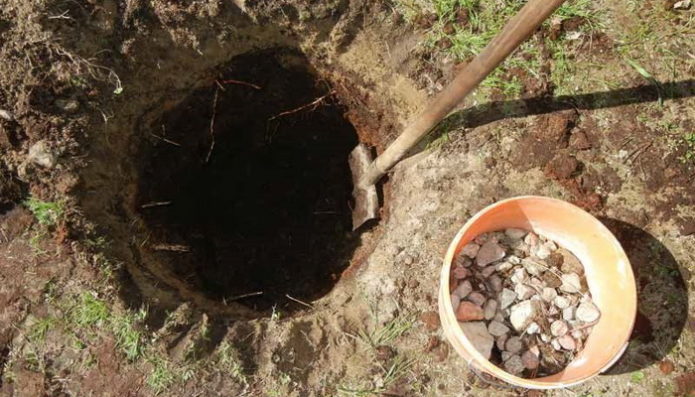 Plantegrop og beholder af knust sten