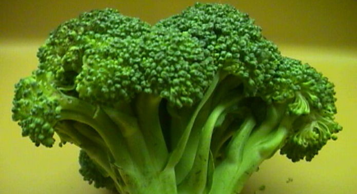 Brocoli