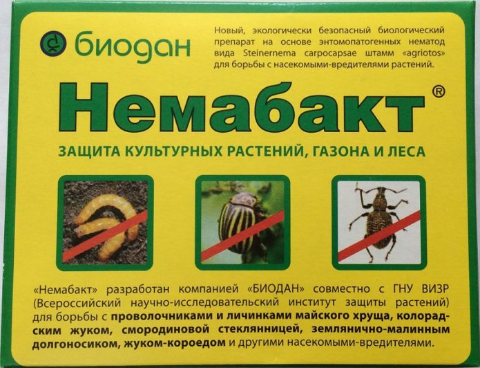 Немабакт