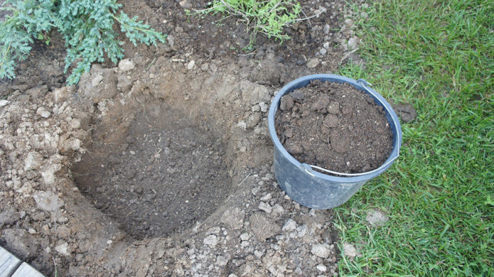 Voorbereiding van de plantkuil