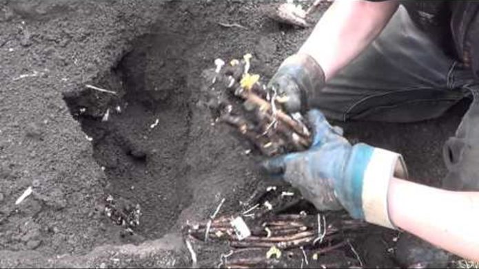 Laying cuttings in the pit