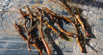 Chopped cuttings from the root of the stem