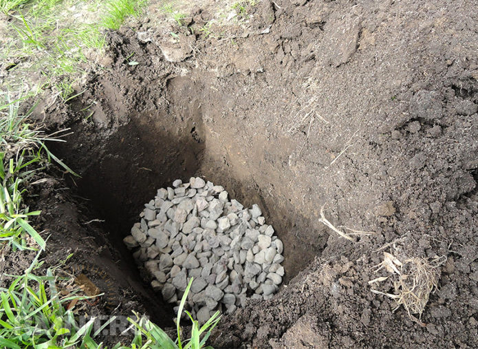 Pedra esmagada na cova