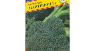 Broccoli Partenone F1