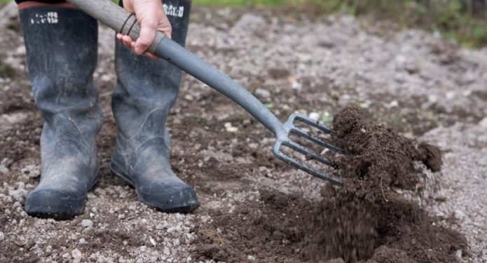 Preparare il giardino