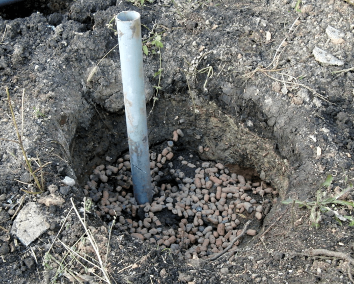 Preparing a planting pit for grapes