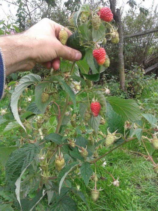 Есенно съкровище