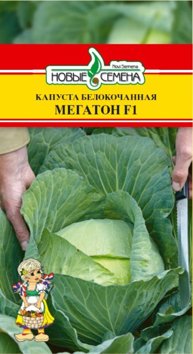 Купус Мегатон из новог семена