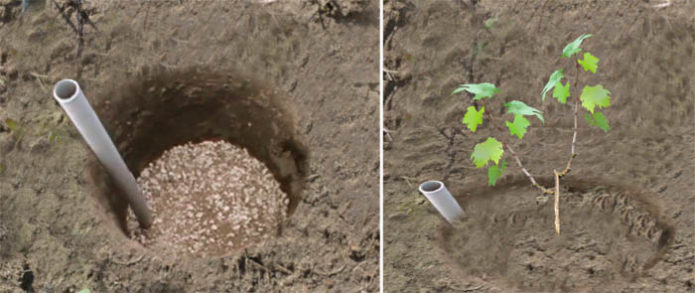 Fosse avec un tuyau d'irrigation