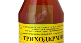 Boifungicide Trichodermin