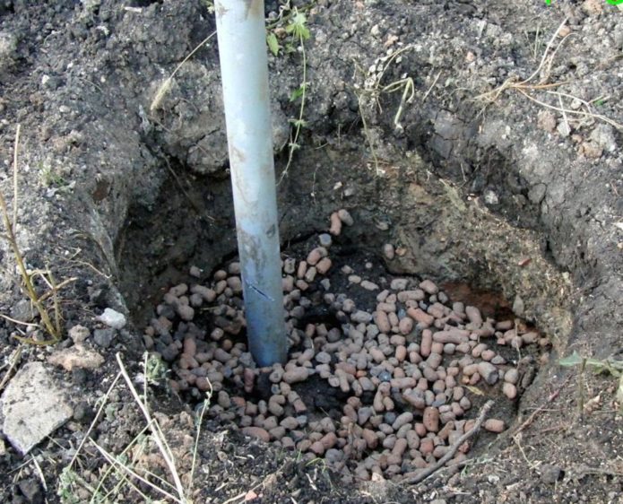 Planting pit for grape seedling