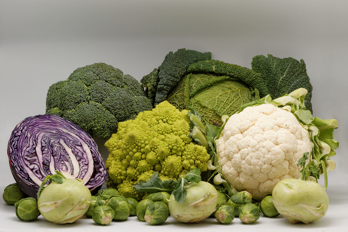 varieties of cabbage