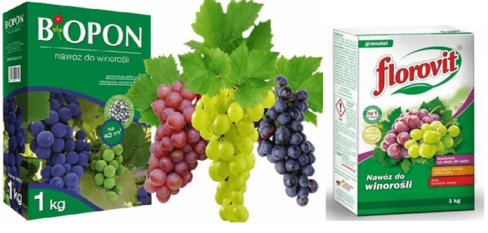 Fertilizantes para uvas