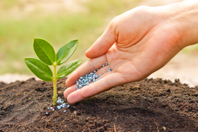 fertilizantes quelatados