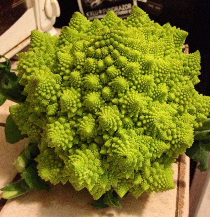 Bắp cải Romanesco