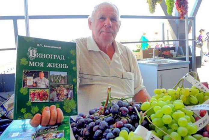 Βασίλι Ουλιάνοβιτς Καπελιουσί