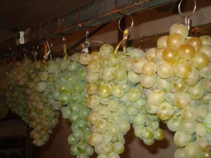 Storage of grapes