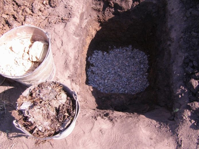 Preparación del pozo de plantación