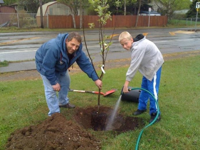 Een boom planten