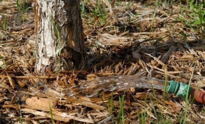 Water geven voor de winter