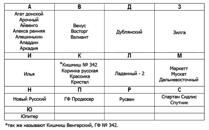 Odrůdy hroznů pro Moskevskou oblast